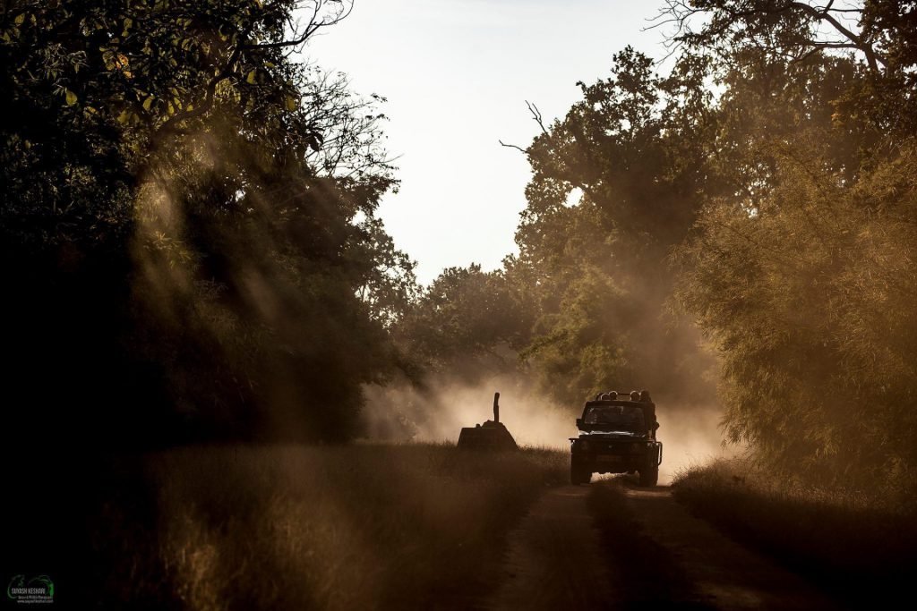 Indian Landscapes | Ameliya Safaris