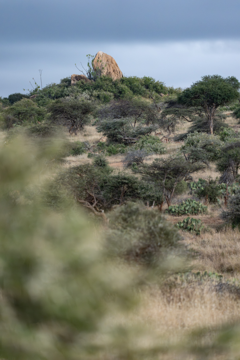 Africa Landscape | Ameliya Safaris