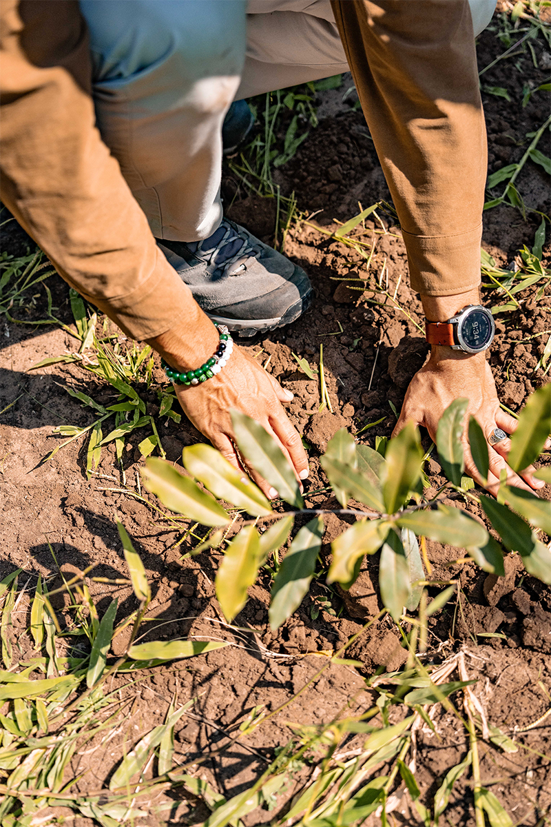 Conscious FootprintPartnerships with sustainable and fair-practice businesses to ensure a minimal impact on the ecosystem and community.