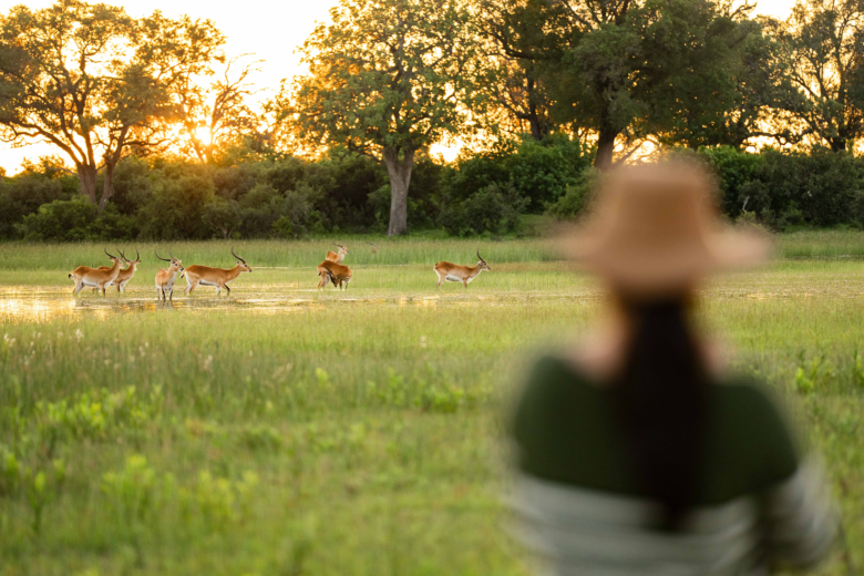 Botswana | Ameliya Safaris