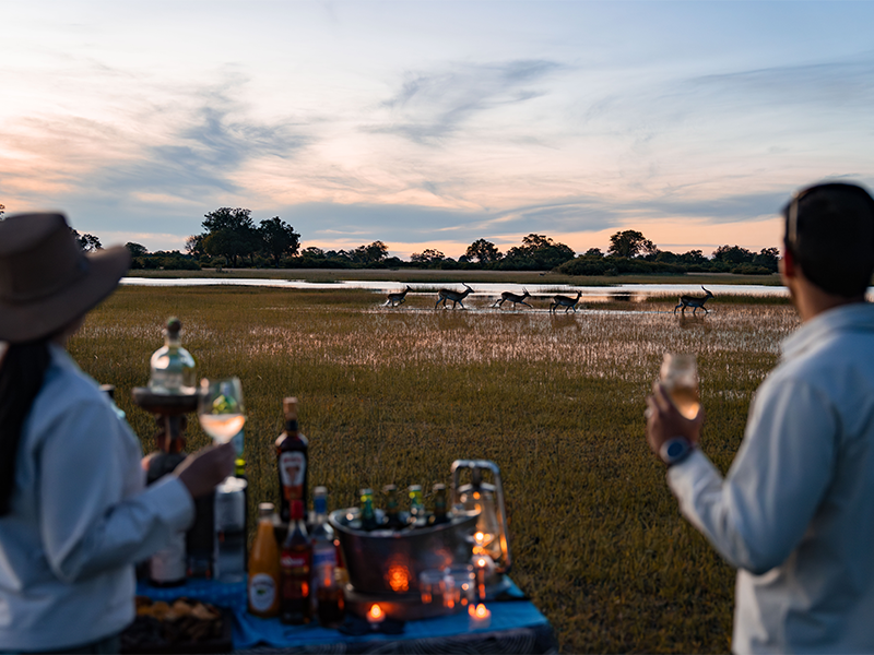 Sundowner Experience | Ameliya Safaris