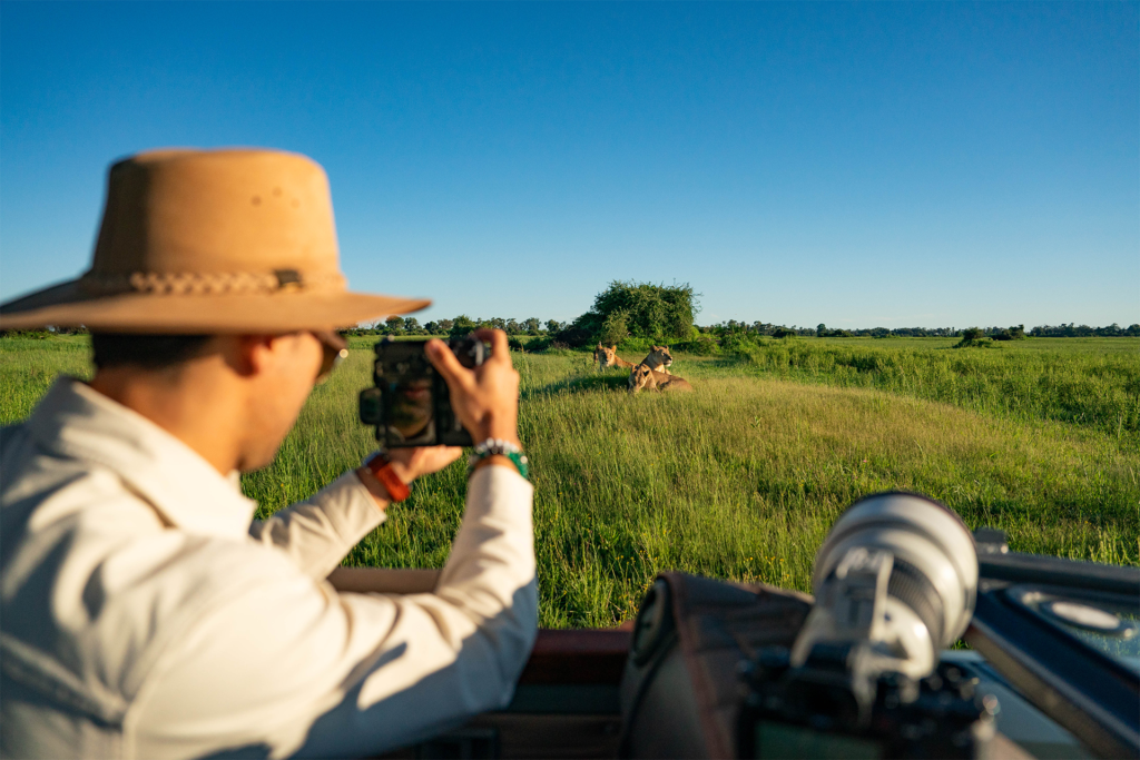 Luxury Safaris in Tanzania: A Journey into the Heart of Wilderness