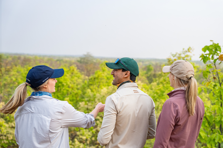 explore India's jungles- Luxury safari experiences with Ameliya