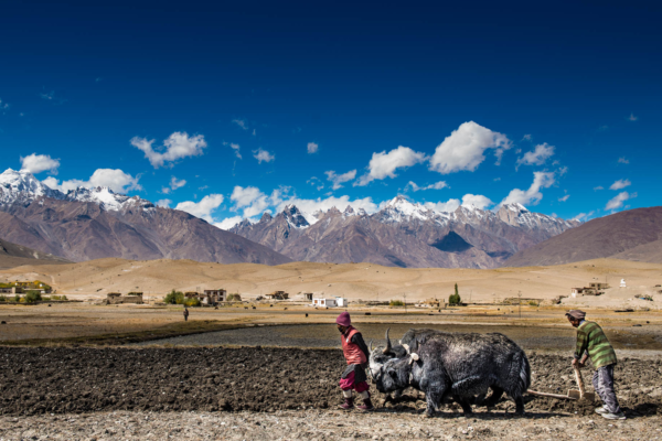 Farmlands in Himalaya | Ameliya Safaris