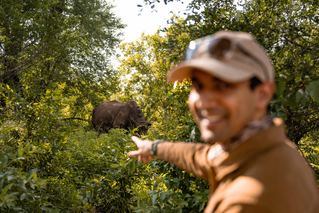 Luxury safari in zambia