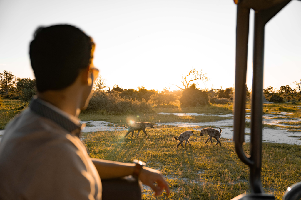 luxury safari in zambia