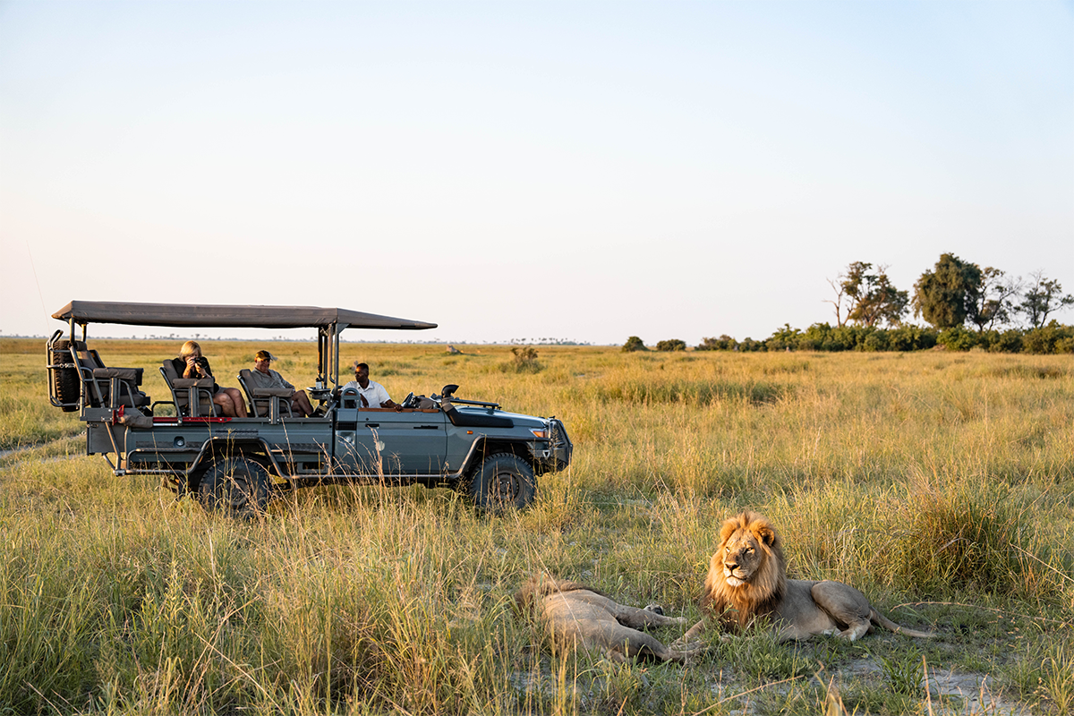 Best Luxury Safaris in Africa - Ameliya Safaris 