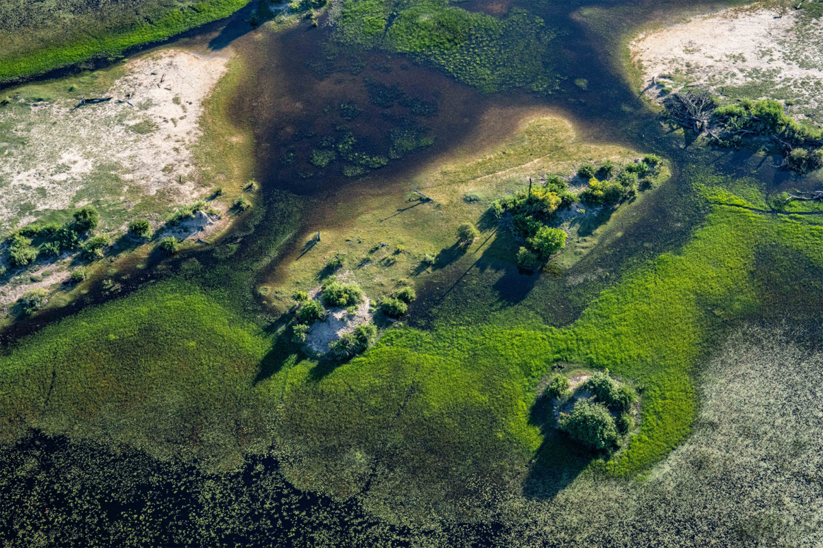 Botswana | Ameliya Safaris