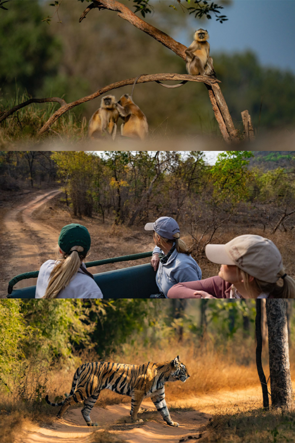 Privately Guided safaris | Ameliya Safaris