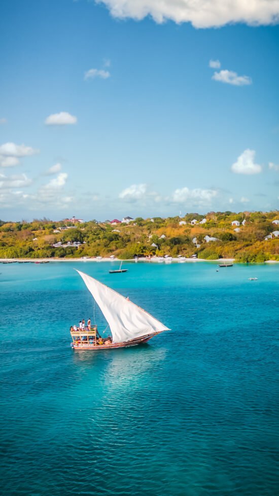 Cruise Dhow - Zanzibar