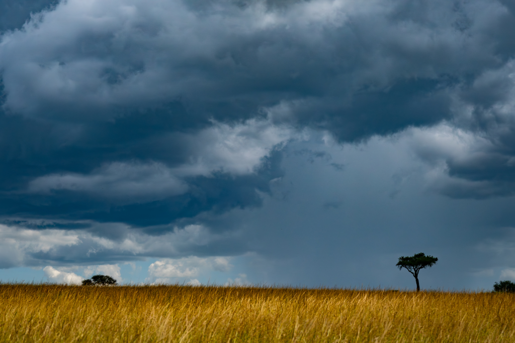 Greater Masai Mara | Ameliya safaris