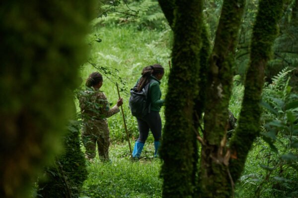 Mount Gahinga Lodge-Gorilla Tracking