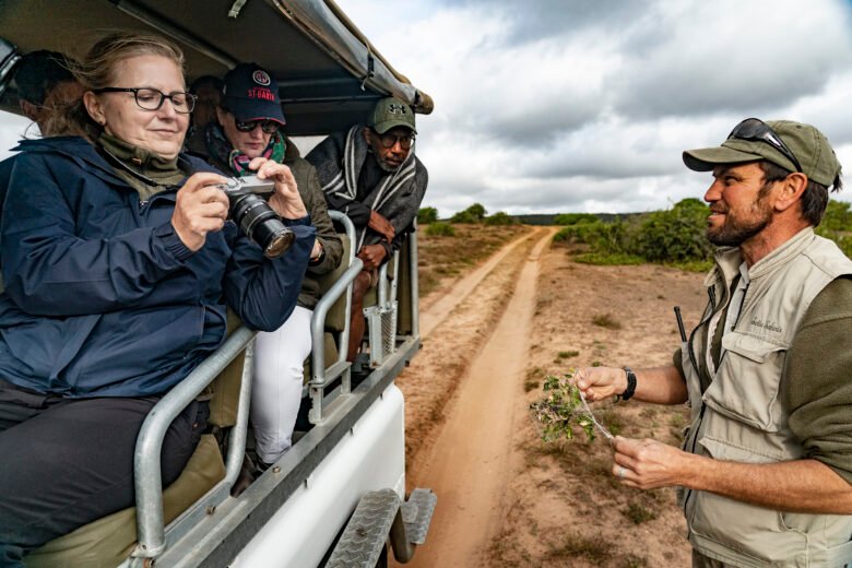 Family safaris in Africa