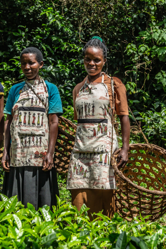 Rwanda tea workers women | Ameliya Safaris