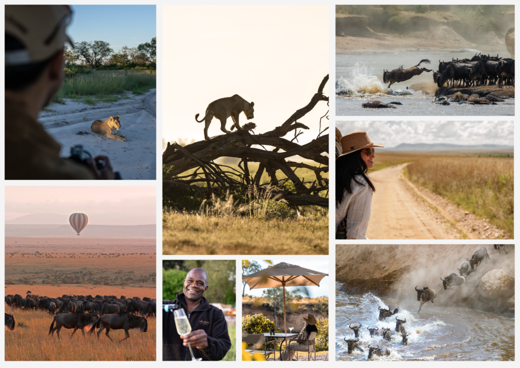 multiple pictures of africa or masai mara