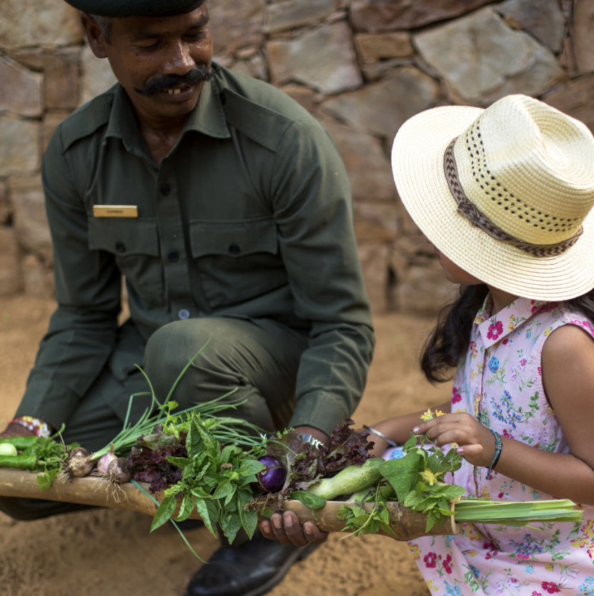 Farm to table experiences on a safari in India