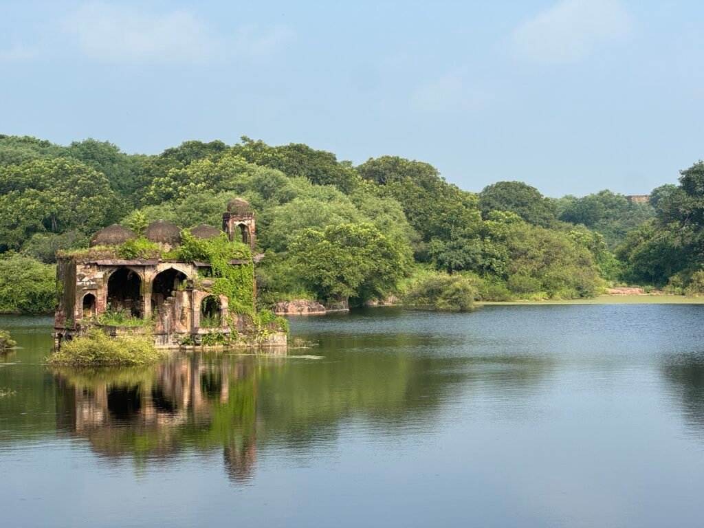 Ranthambore Classic Safaris