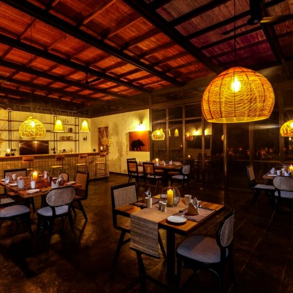 Bori Safari Lodge - Satpura National Park