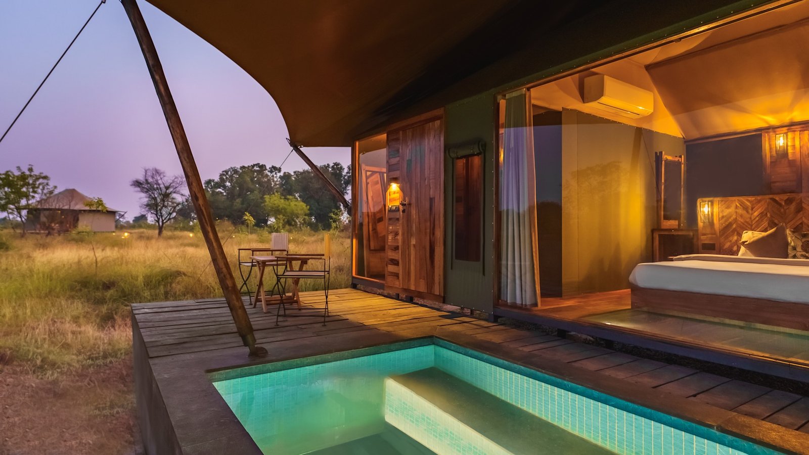 Trees n Tigers Tadiba