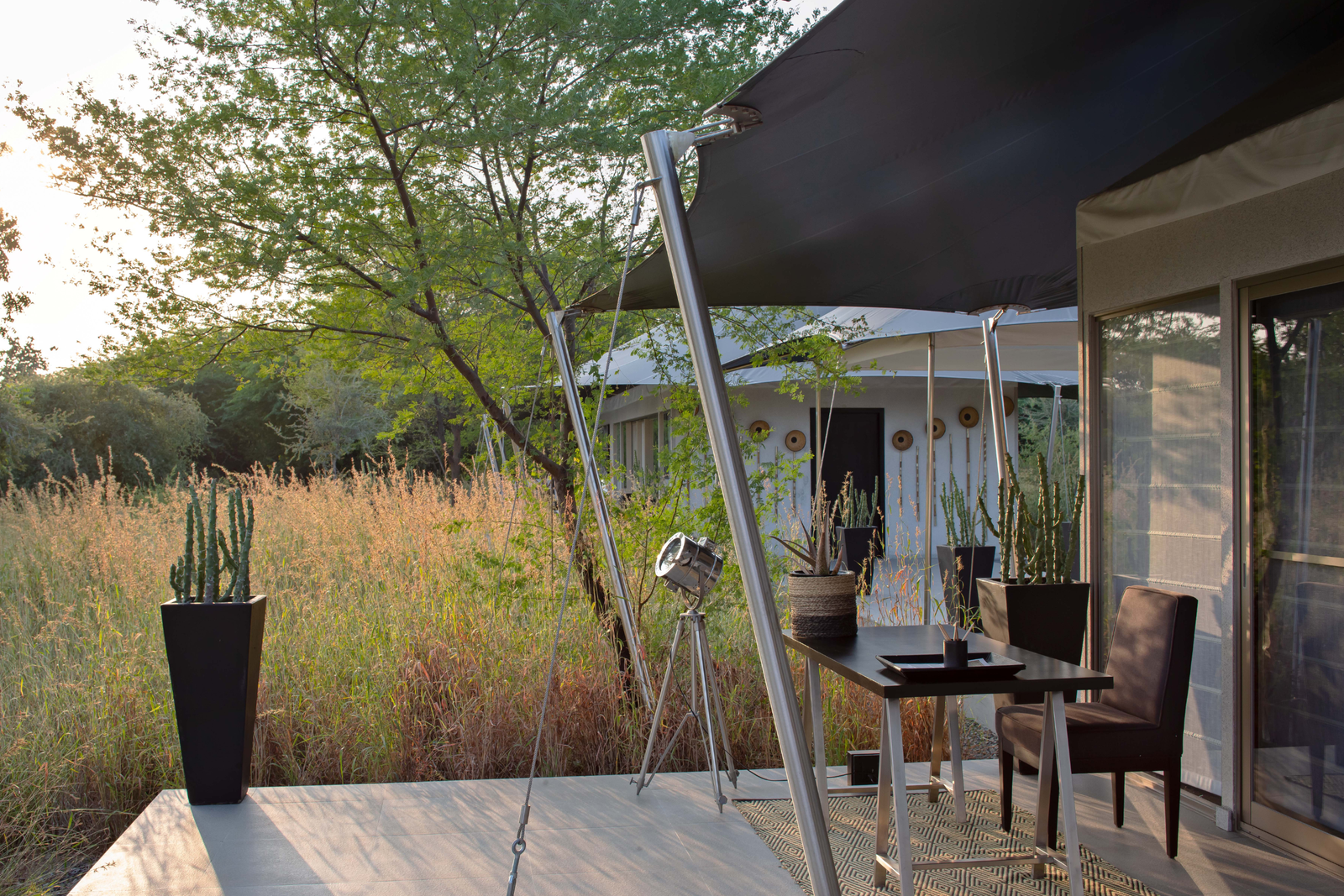 Family Felidae by Suján Jawai