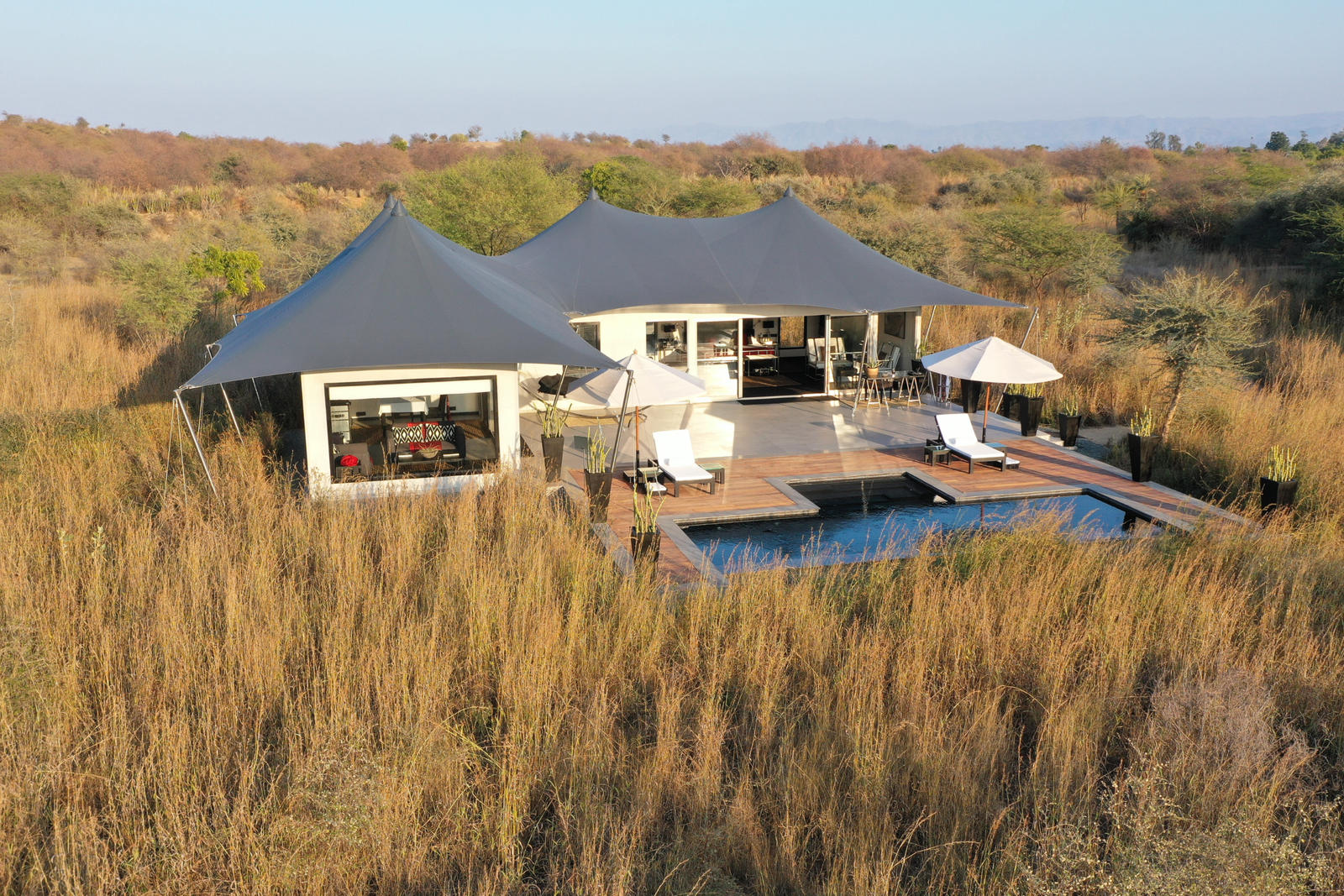 The Royal Panthera Suite by Suján Jawai