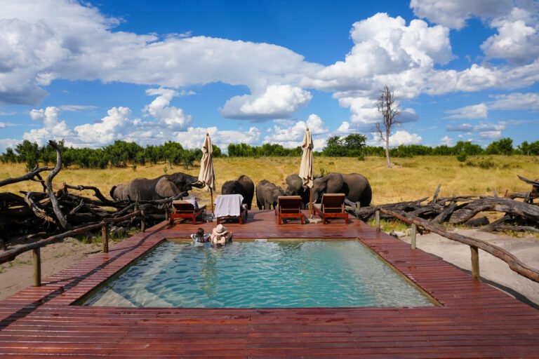 Somalisa Expeditions Camp