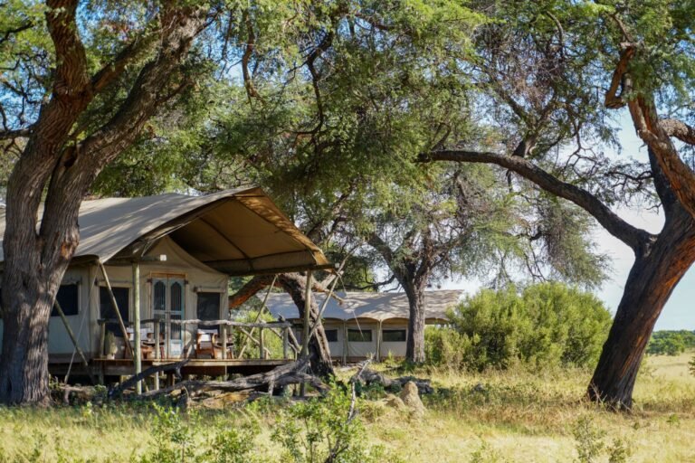 Somalisa Expeditions Camp