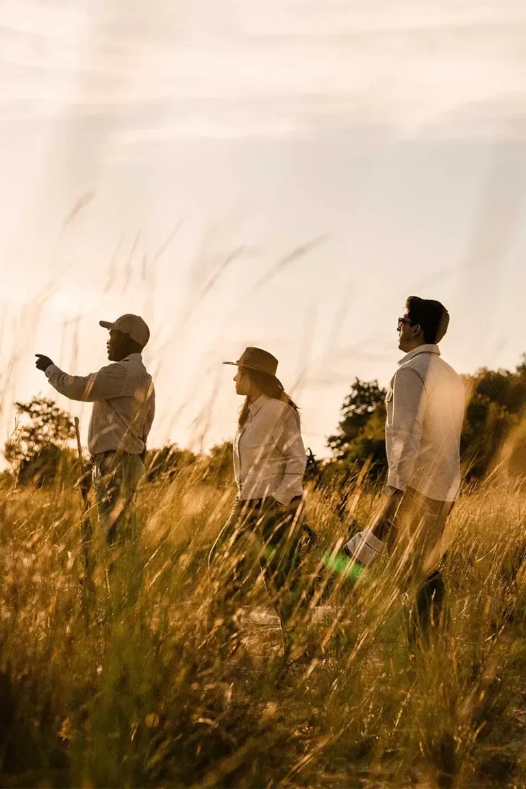 Privately Guided Safari experience | planning fee