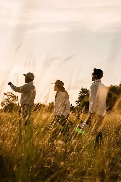 Privately Guided Safari experience | planning fee