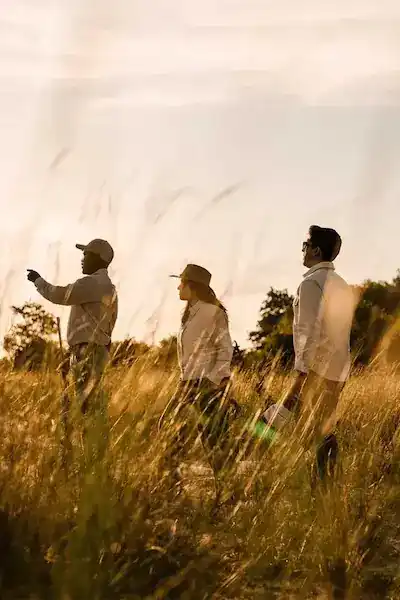 Privately Guided Safari experience | planning fee