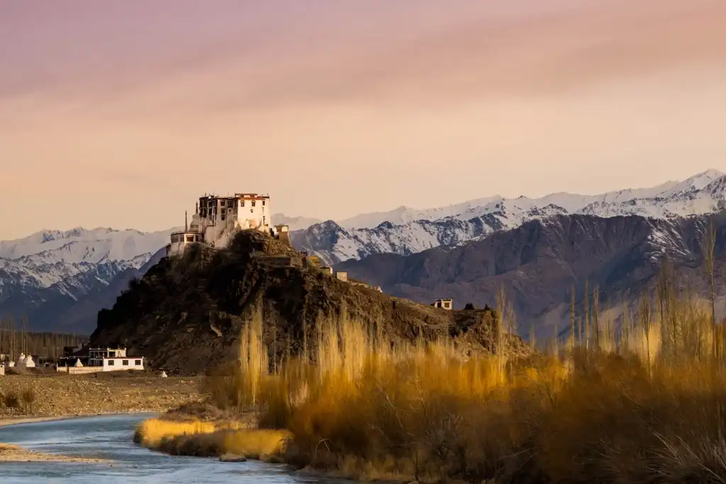 best luxury holiday packages in india