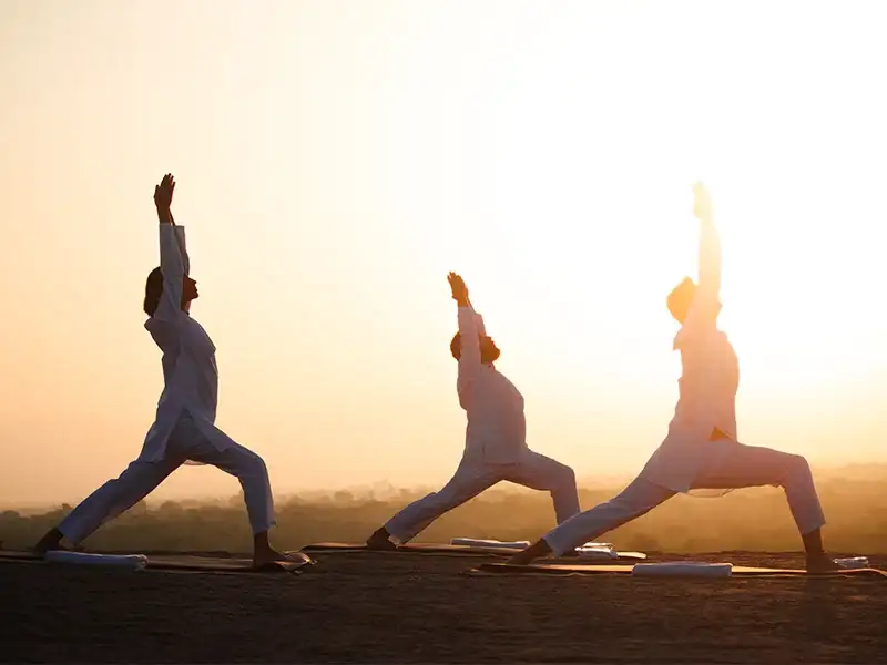 Yoga & tiger luxury safari india