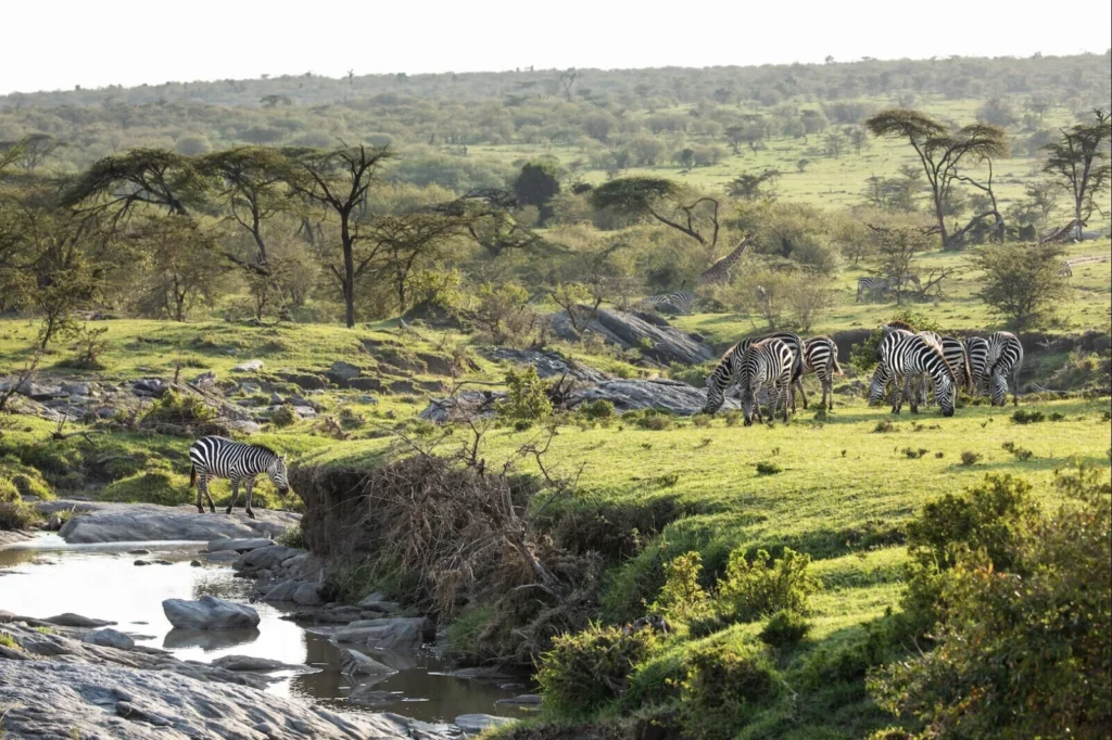 african luxury tour from Europe