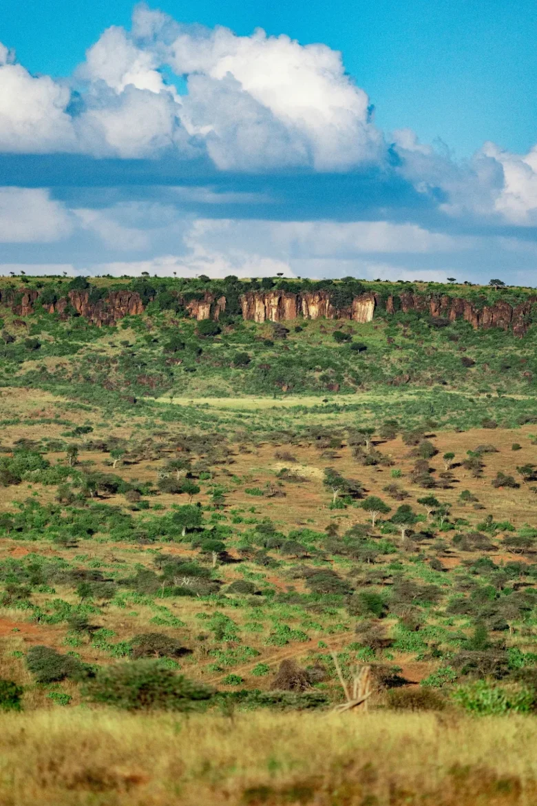 Namibia- Habitat