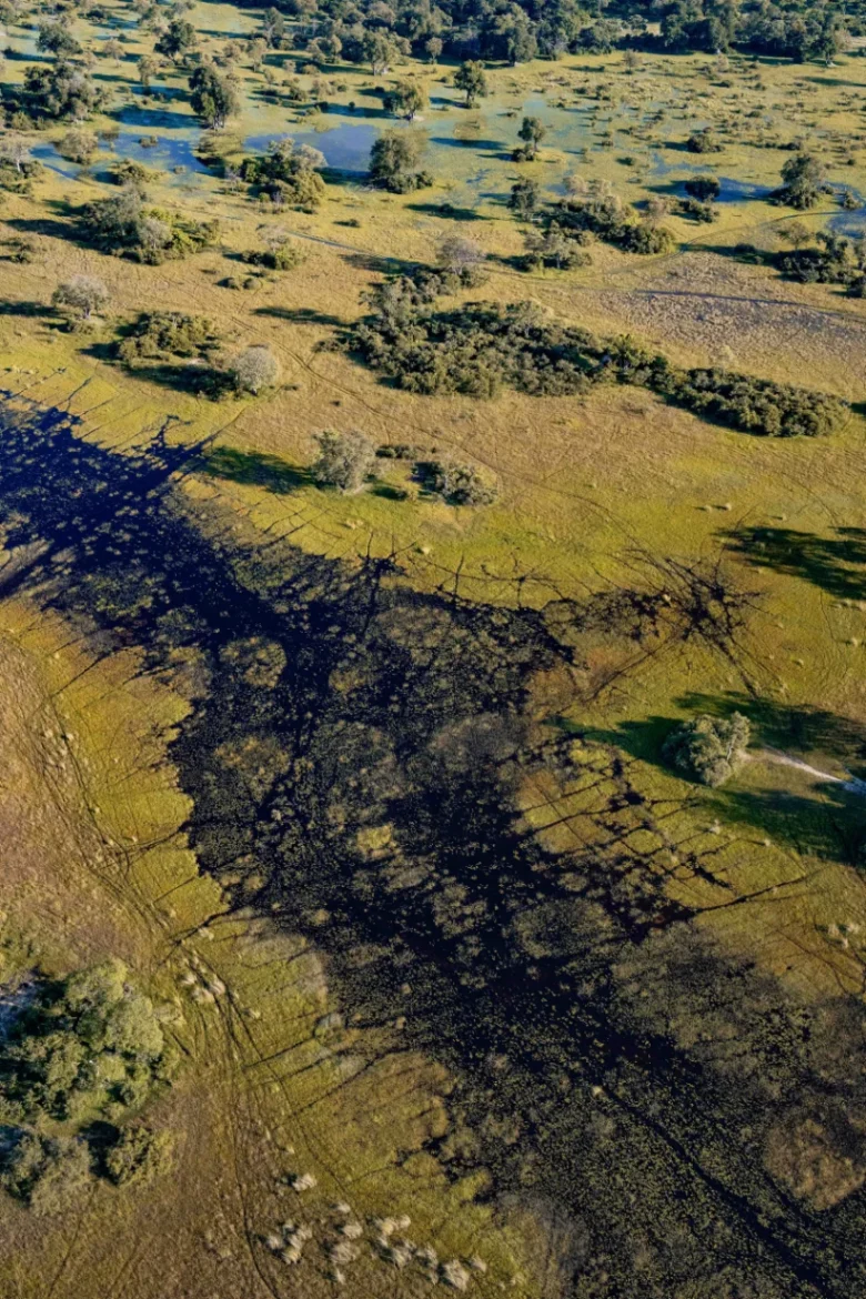 Botswana Habitat block