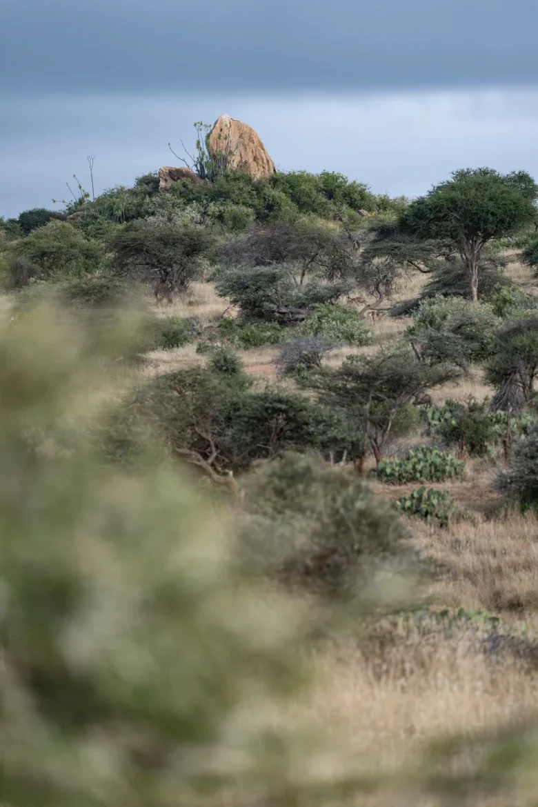 Landscape in Kenya