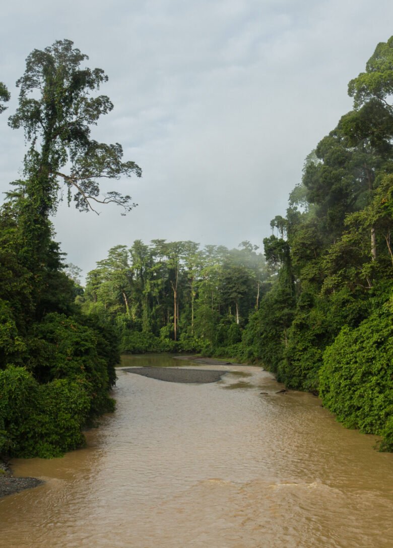 Danum Valley_570A5376