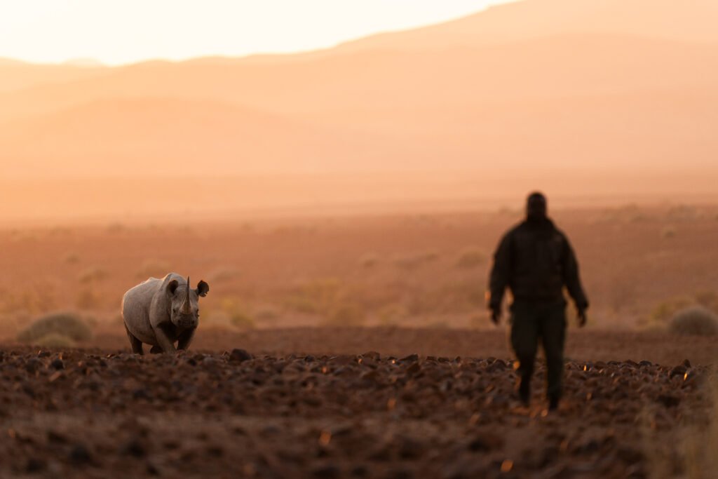 Desert Rhino Camp