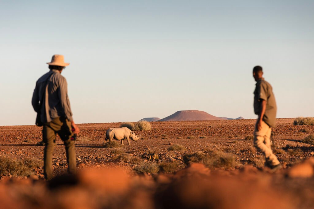 Desert Rhino Camp 2024
Desert Rhino Camp 2024