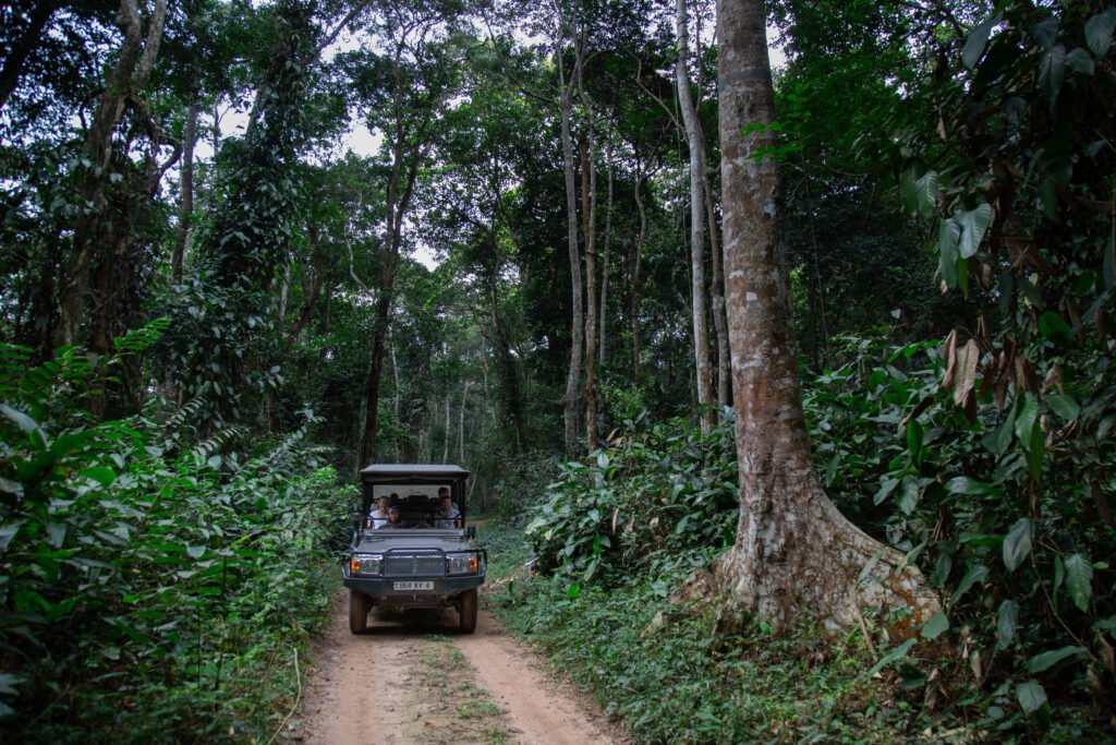 Odzala National Park - Republic of Congo