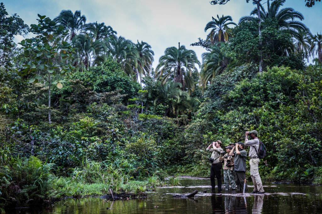 Odzala National Park - Republic of Congo