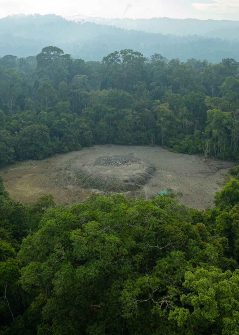 Tabin_Nature & Landscapes_Landscape_Jungle__J6I8850