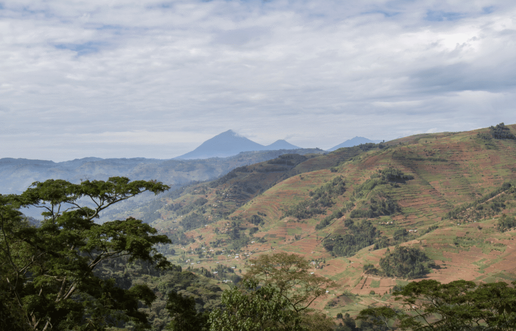 Volcano national park