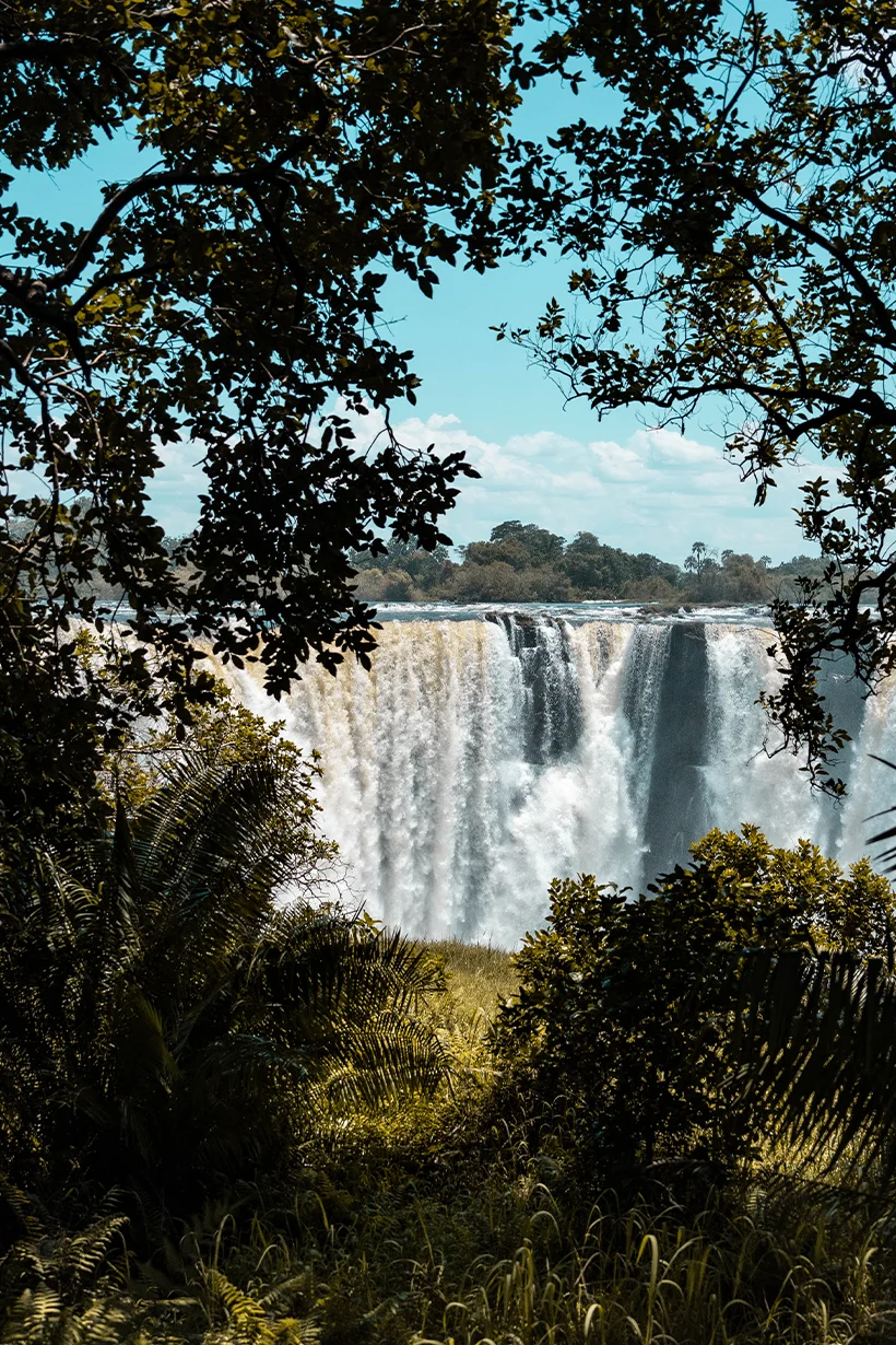Victoria Falls and African wildlife in Zambia