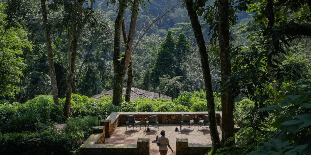 Bwindi Lodge Garden